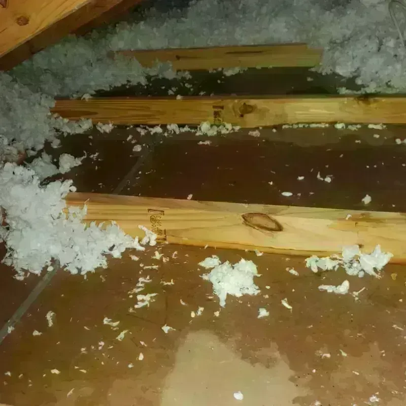 Attic Water Damage in Verona, VA