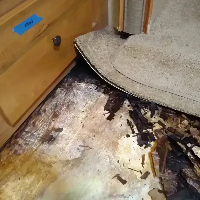 Wood Floor Water Damage in Verona, VA